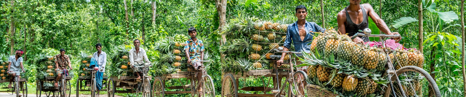 Pinapple Sellers in Dhaka, Bangladesh