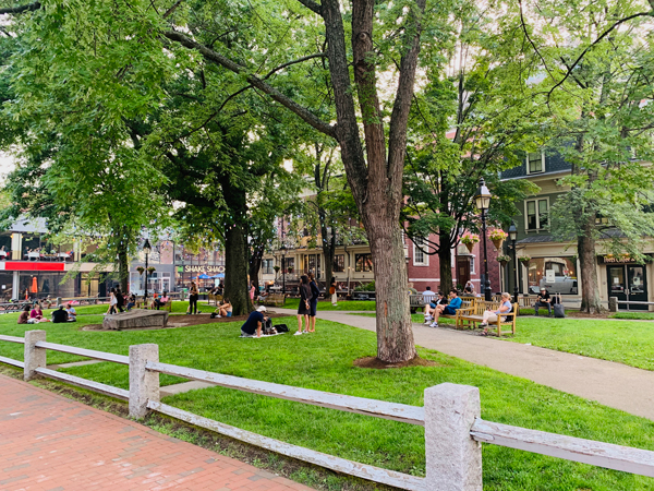 Harvard Square in Cambridge, Massachusetts