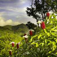 10-Tips-for-Living-in-Costa-Rica