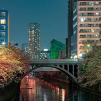 Pros--Cons-of-Living-in-Tokyo
