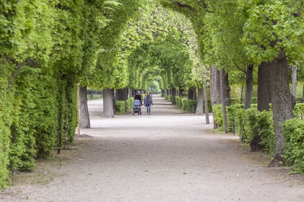  Gardens at Schonbrunn Palace in Vienna