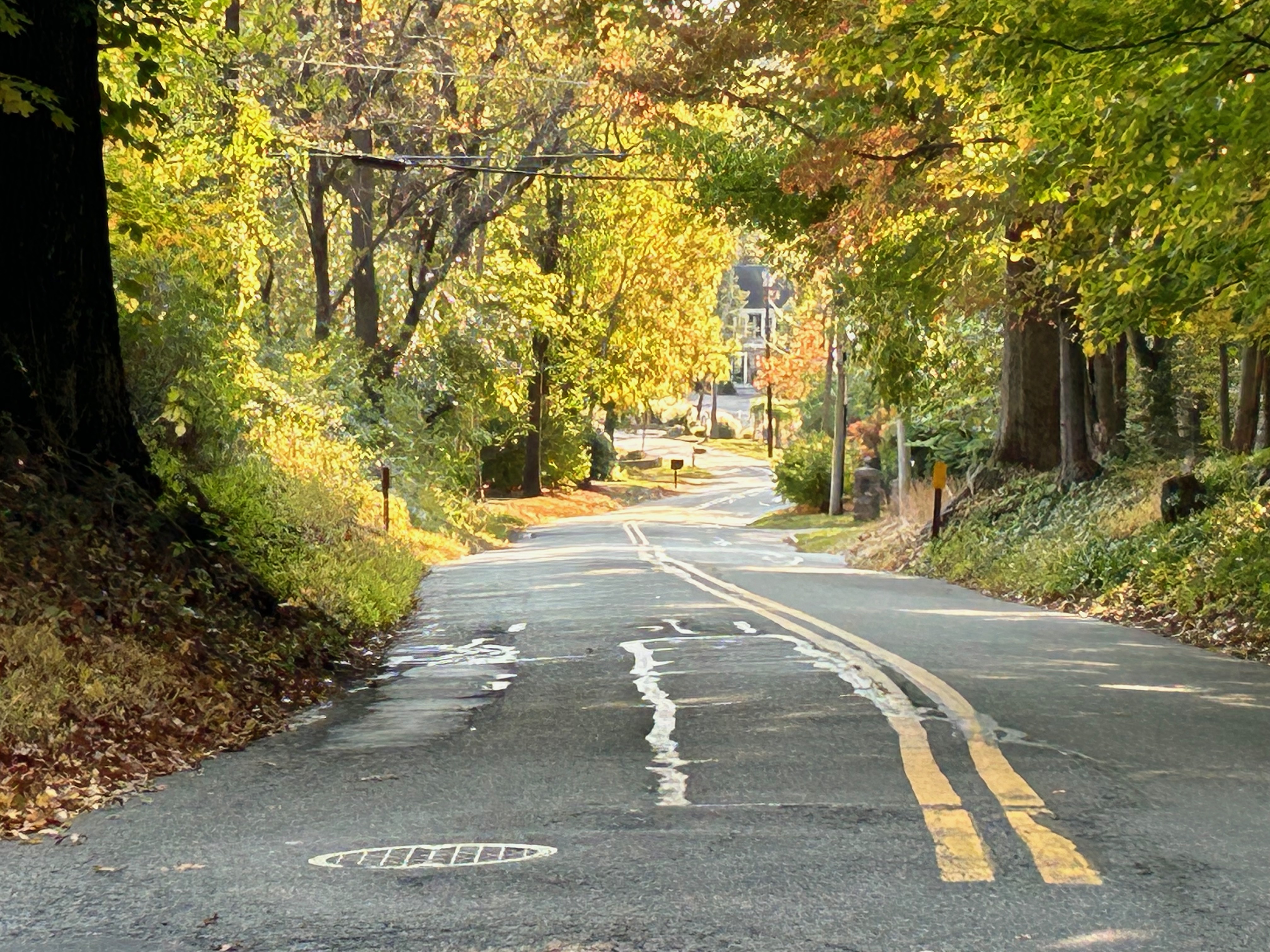 Rural Road in Bernardsville