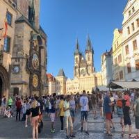 Understanding Mental Health in Czechia