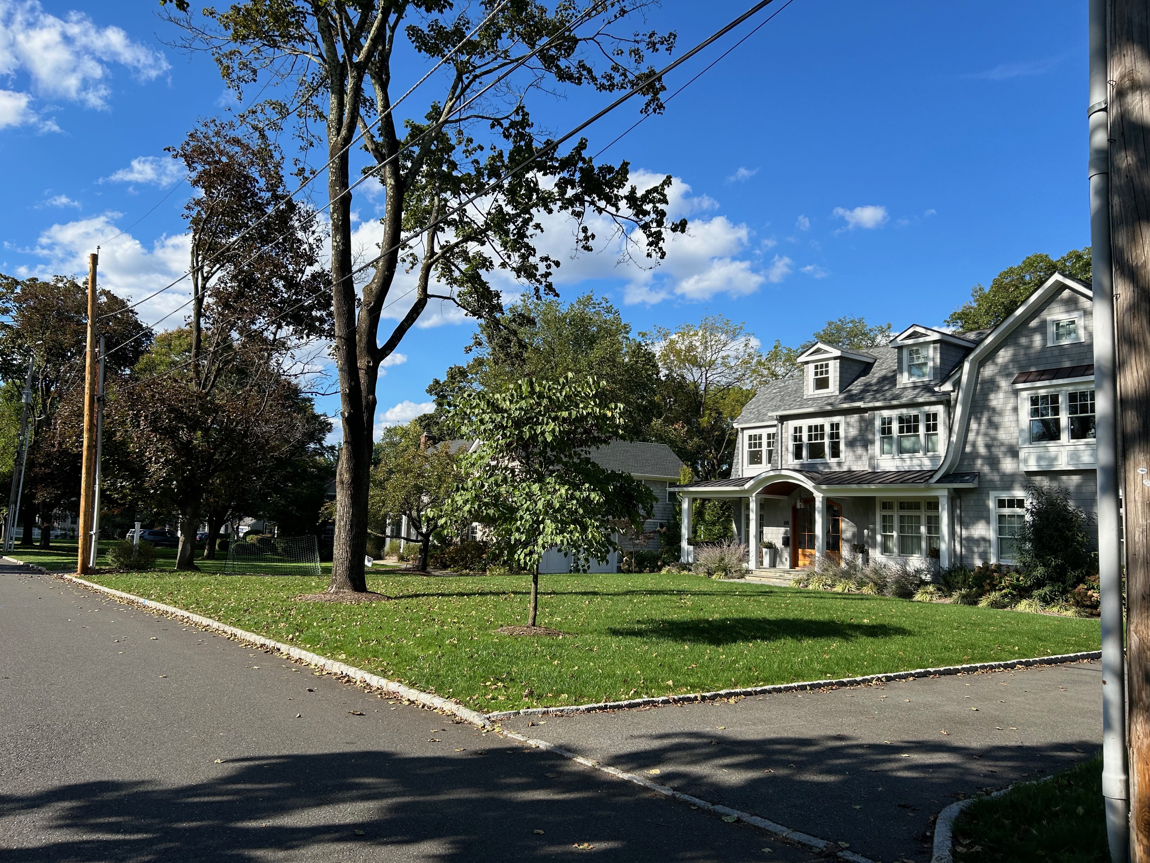 Residential Street in Chatham, NJ