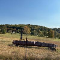 Health Care in Bernardsville