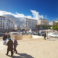 Best-Bookstores-and-Libraries-in-Algiers