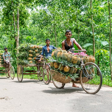 Digital Nomad Life in Bangladesh