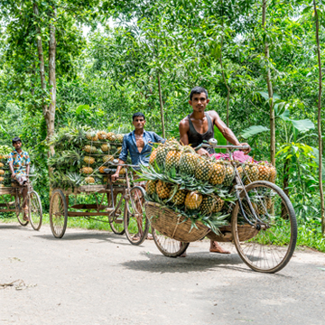 Bangladesh Guide