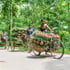 Moving-to-Bangladesh