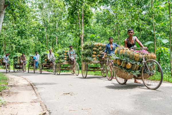 Pinapple Sellers in Dhaka, Bangladesh