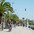Why-Expats-Choose-Spain:-Lifestyle,-Residency-Options,-and-Healthcare
