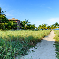 Best-Markets-in-Caye-Caulker