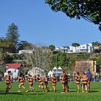 Public-Transportation-in-Whangarei