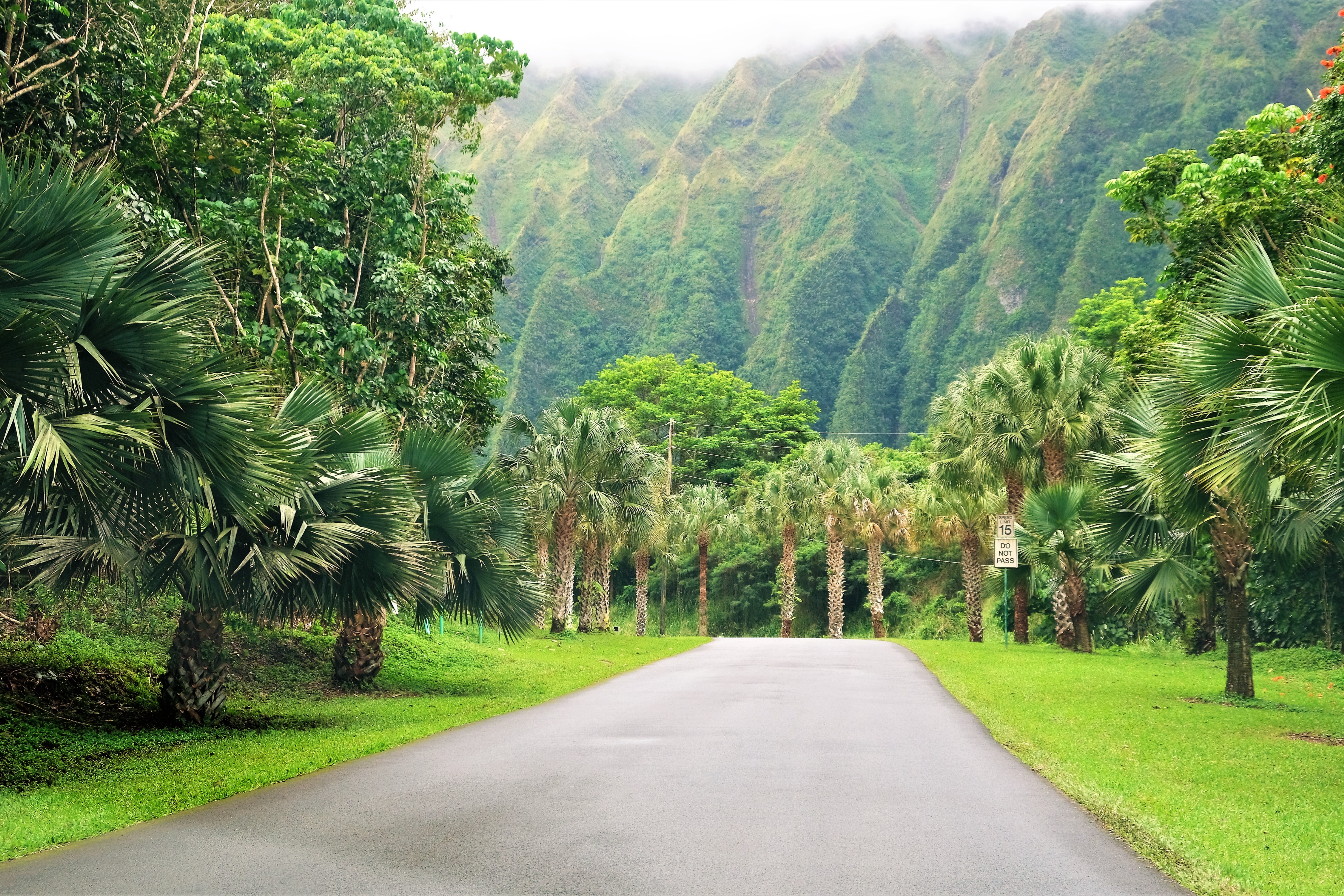 Botanical Park - Kaneohe, Hawaii