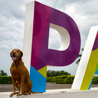 Getting-a-Drivers-License-in-Panama