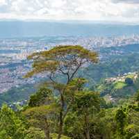 Santander/Bucaramanga