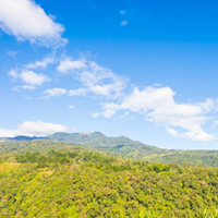 Coronavirus in Chiriqui, Panama