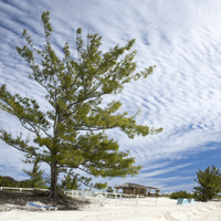 Cost-of-Living-in-Abaco-Islands
