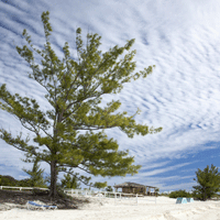 Best Places to Live Overseas: The Bahamas vs. Bermuda
