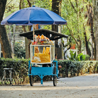 Expats Guadalajara