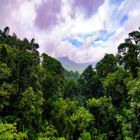 Getting a Driver's License in Costa Rica