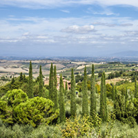 Healthcare in Arezzo