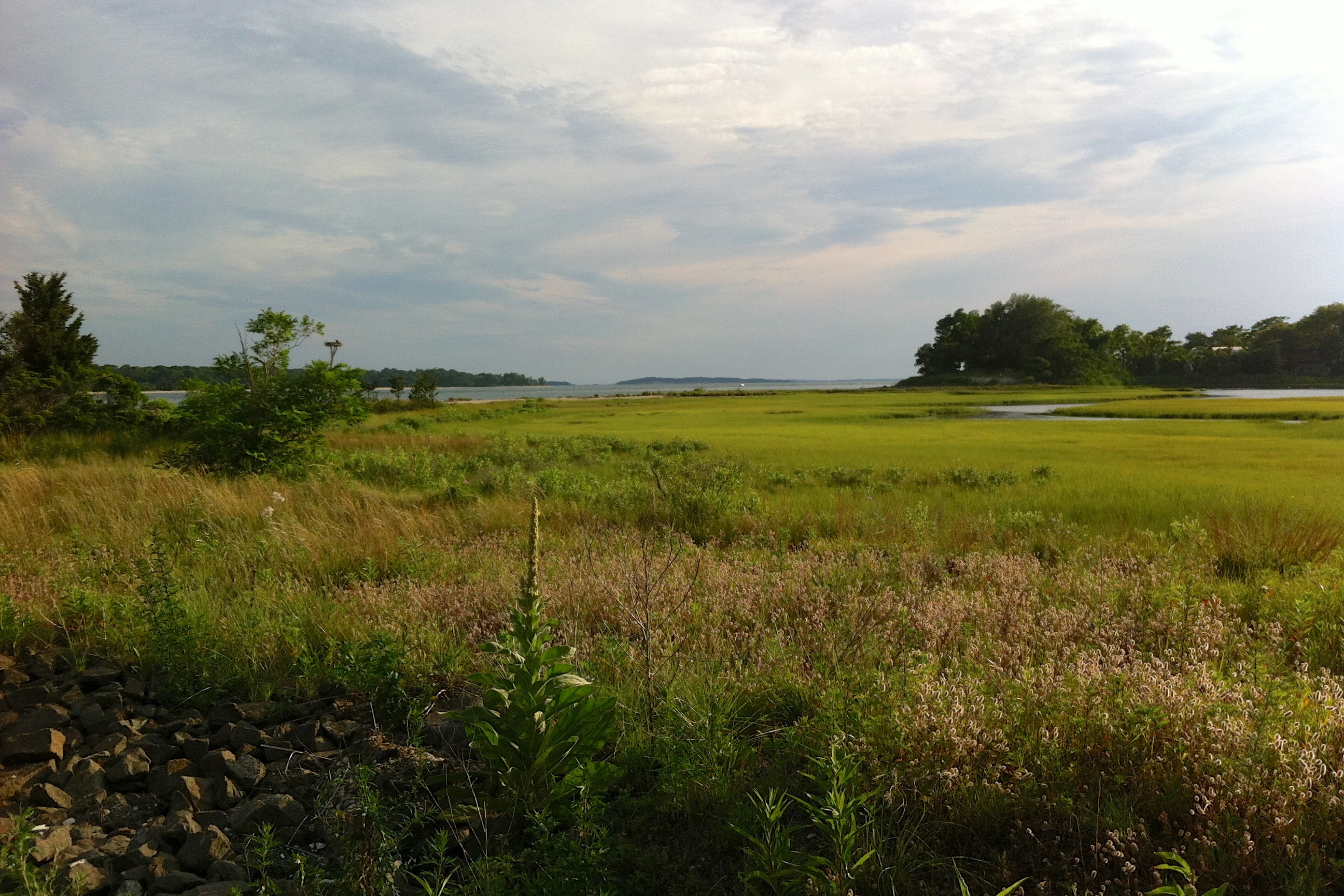 East Hampton, NY