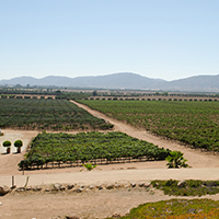 Retire-in-Ensenada-Guide