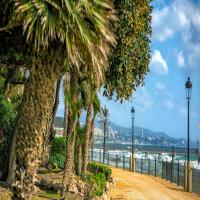 Best Markets in Marbella