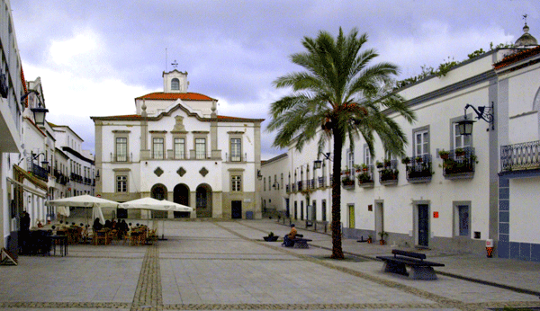 The Health System in Portugal - Essential Guide to the Health System in Portugal
