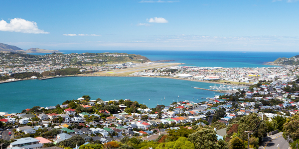 Driving in Wellington