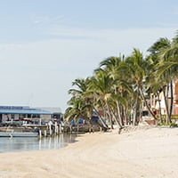 Coronavirus in San pedeo, Belize
