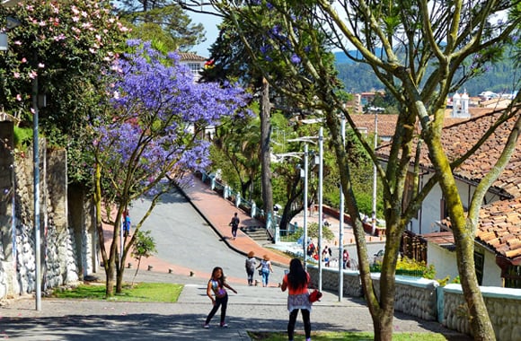 Expat Survey - More than 90% of Expats in Ecuador Rate It Highly