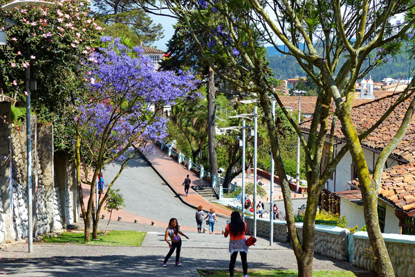 Expat Survey - More than 90% of Expats in Ecuador Rate It Highly