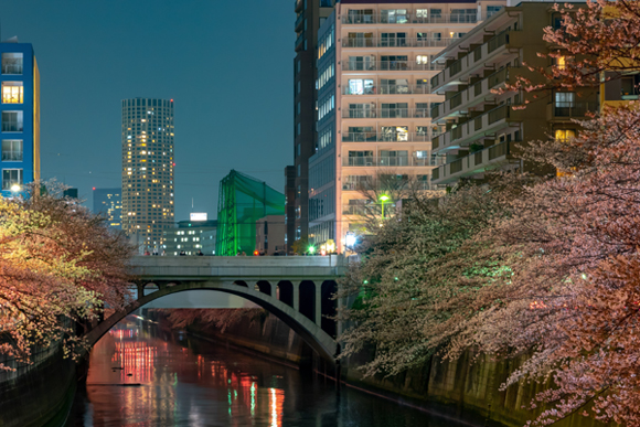 Expats in Meguro