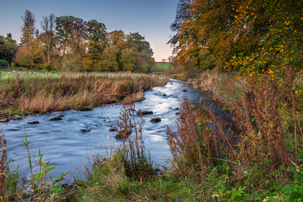 Wallington in Sutton, London