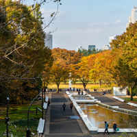 Japan Guide