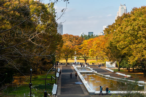 Expats in Yoyogi