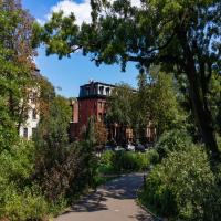 Health Care in New York