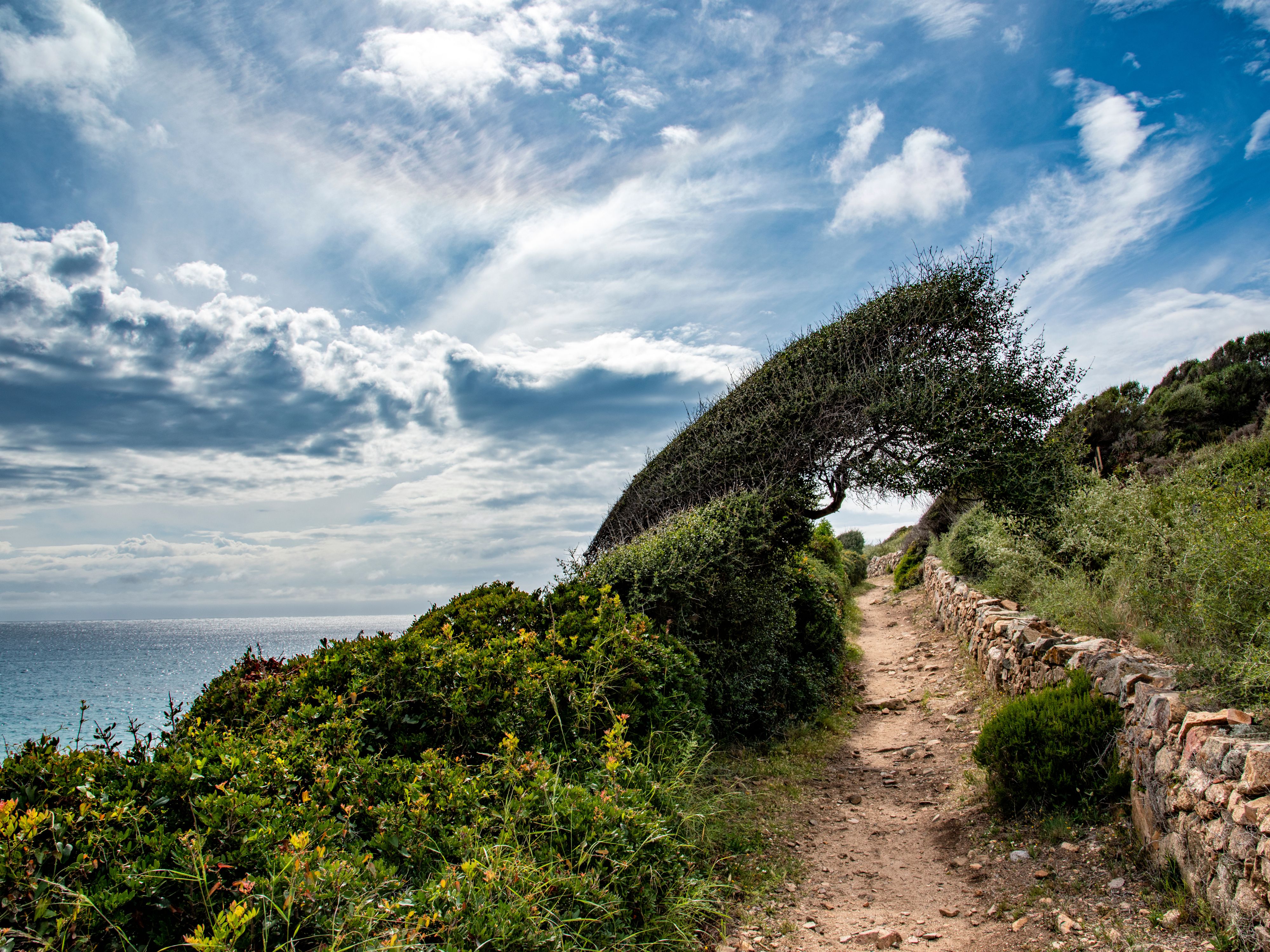 Costal Path on Corsica Island, France
