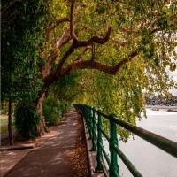 Best Neighborhoods for Single People in London