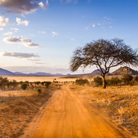 Kenya Guide