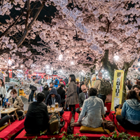 Retire-in-Kyoto-Guide