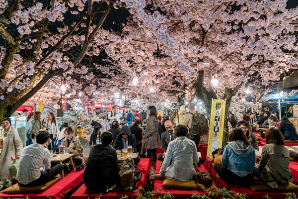 Expats Kyoto