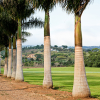 Banking in Costa Rica