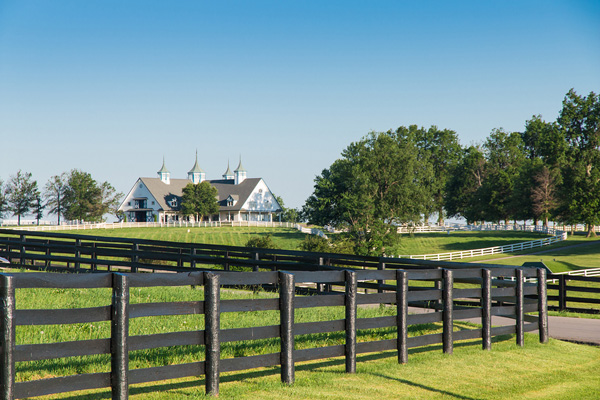 Horse Farm in Kentucky