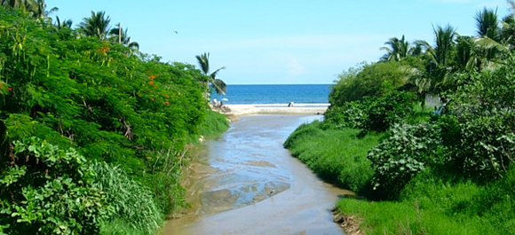 Living in Sayulita, Mexico