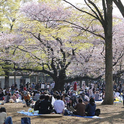 Dream vs. Reality of Living in Tokyo, Japan
