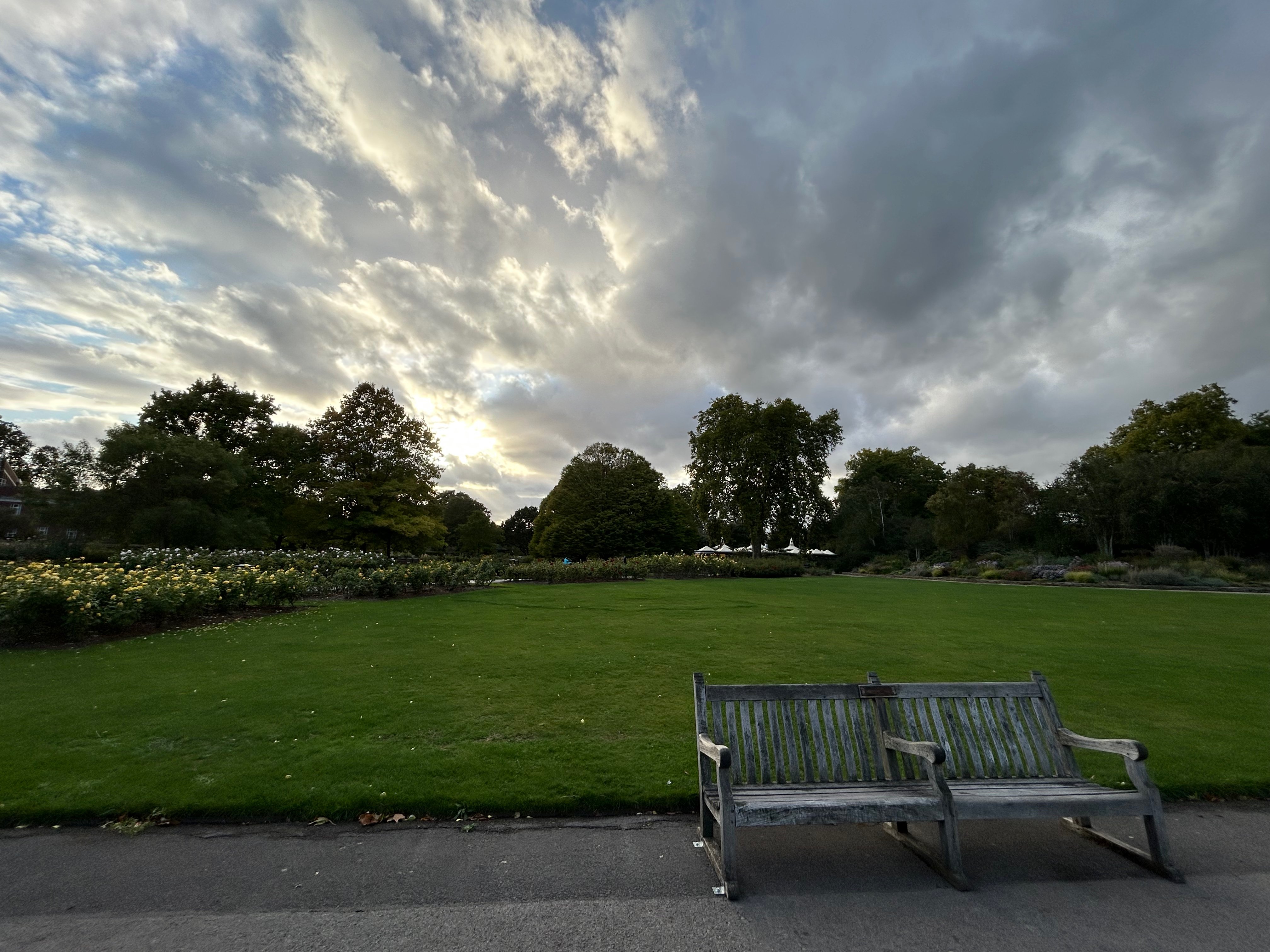 Queen Mary's Garden in Regent's Park