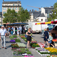 Luxembourg Guide